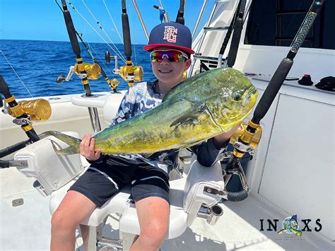 key west fishing report|Sailfish Tunas Wahoo and Mahi In The Key West Fishing Report.